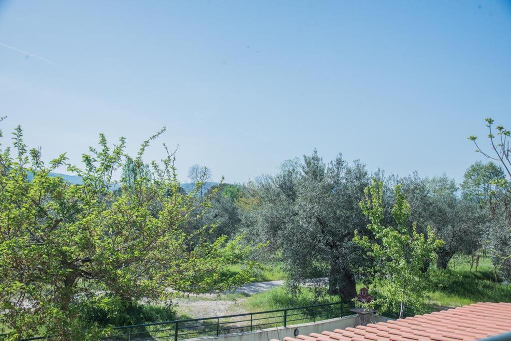 Diogenis Villa วูร์วูรู ภายนอก รูปภาพ